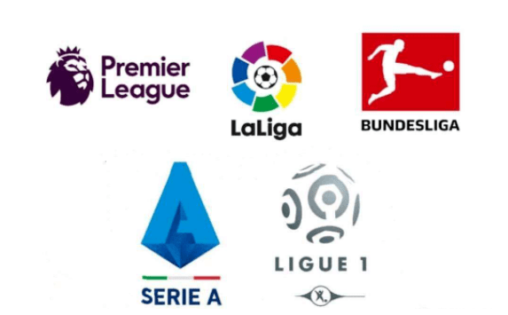 种年轻球队 种年轻球队